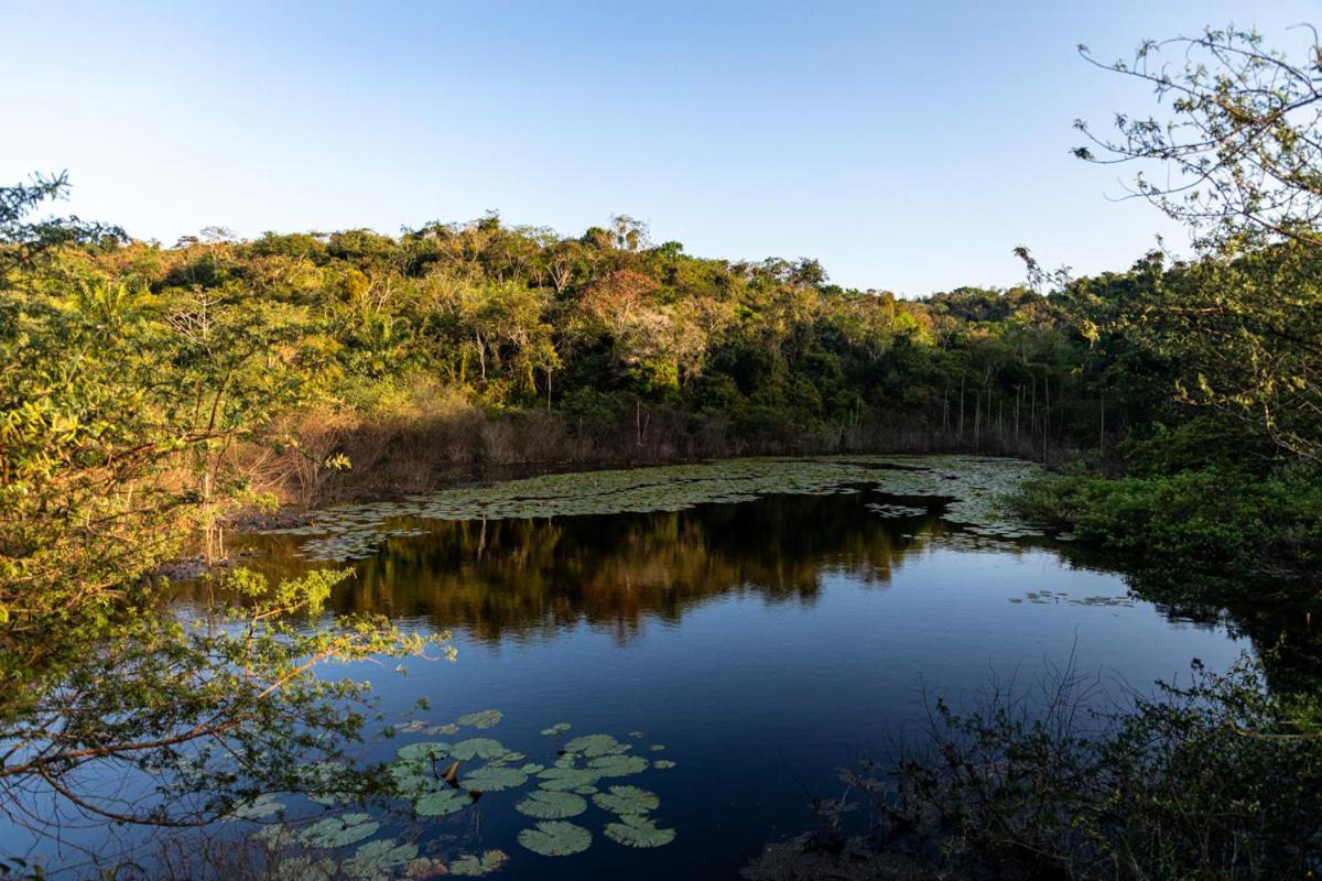 Fazenda Hotel Candeal Conceicao de Jacuipe Eksteriør billede