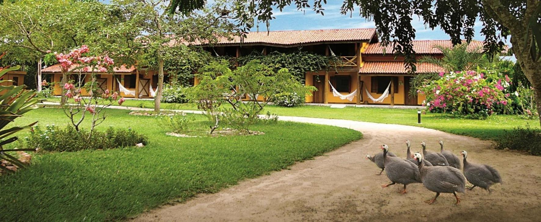 Fazenda Hotel Candeal Conceicao de Jacuipe Eksteriør billede